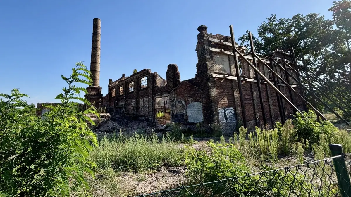 Die Ruine der Gelsdorfhütte: Das Grün holt sich nach der Altlastenbeseitigung den Platz zurück. Doch der nächste Schritt auf dem Areal steht an.