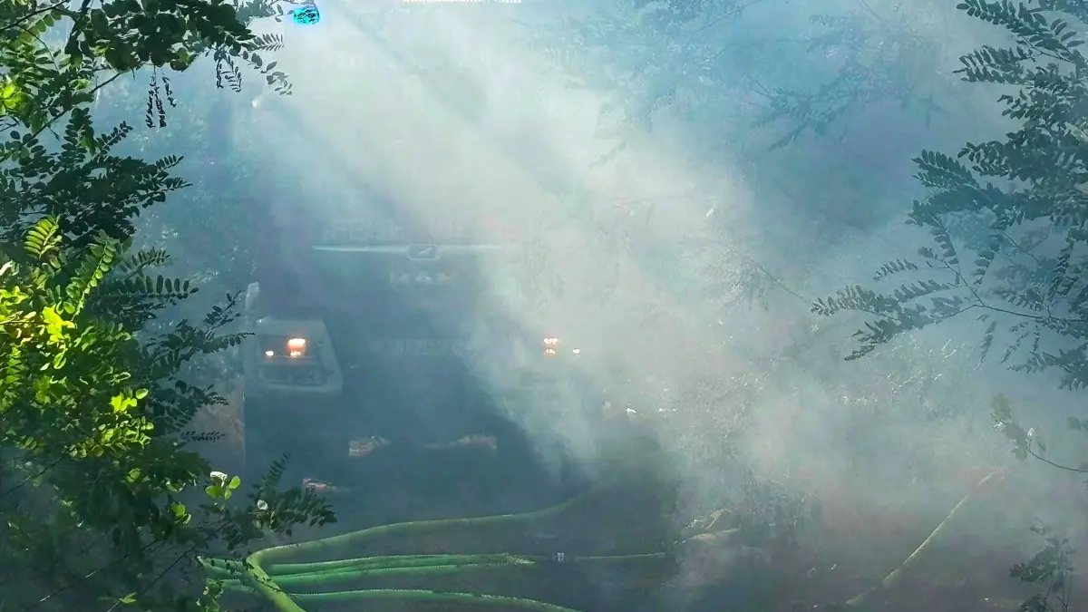 Bei dem Waldbodenbrand bei Zeischa kämpfen die Feuerwehrleute auch gegen den dichten Rauch.