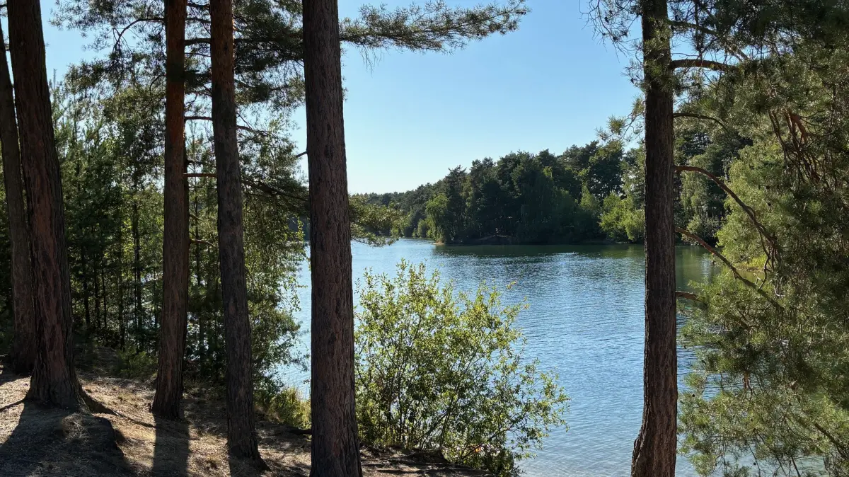 Idyllisch präsentiert sich der Niesendorfer See unweit des namensgebenden Ortes mitten in der Lausitzer Kiefernheide. Die touristische Infrastruktur am Gewässer lässt kaum Wünsche offen.
