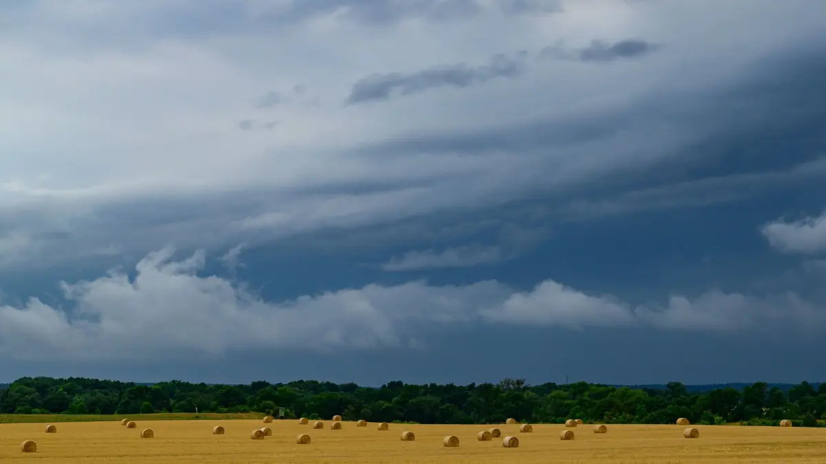 Wetter: ARCHIV - 01.08.2026, Brandenburg, Mallnow: Gewitterwolken ziehen über die Landschaft im östlichen Brandenburg. (zu dpa: «Regenschirme raus: Woche startet mit Gewittern und Schauern») Foto: Patrick Pleul/dpa +++ dpa-Bildfunk +++