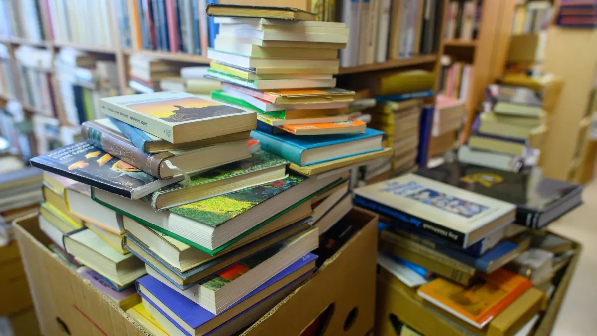 Buchdorf Mühlbeck: ARCHIV - 25.05.2023, Sachsen-Anhalt, Mühlbeck: Unzählige Bücher liegen im Lager vom «Antiquariat Gödicke Alte Schule» zum Einsortieren bereit. (zu dpa: «Bücher schreddern für KI – Was ist dran an den Vorwürfen?») Foto: Klaus-Dietmar Gabbert/dpa +++ dpa-Bildfunk +++