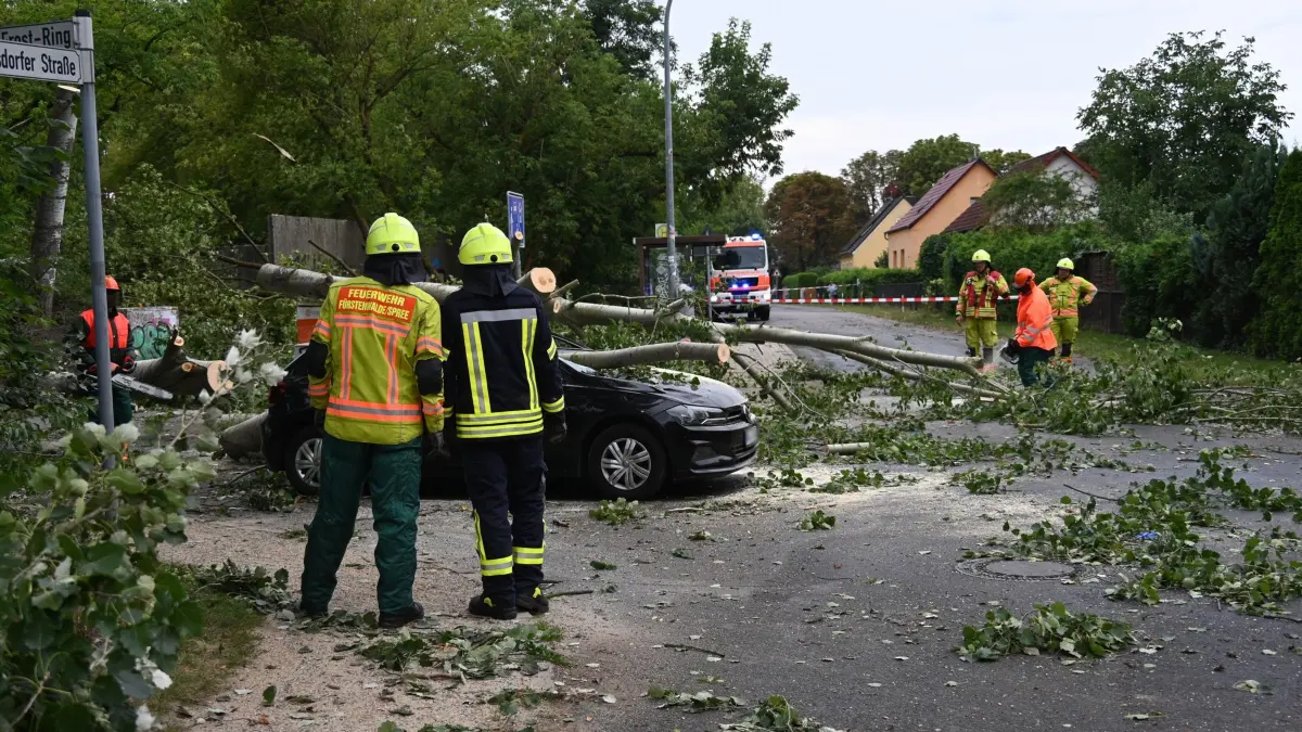 Tornado in Fürstenwalde in Brandenburg: 19.08.2026, Brandenburg, Fürstenwalde/Spree: Ein umgestürzter Baum liegt nach einem Unwetter in Fürstenwalde-Süd auf einem Auto. Bei einem Unwetter sind mehrere Bäume umgestürzt und Autos beschädigt worden. Der Deutsche Wetterdienst bestätigt jetzt, dass es im brandenburgischen Fürstenwalde/Spree einen Tornado gegeben hat. Foto: Sappeck/BLP/dpa - ACHTUNG: Das KFZ-Kennzeicheen wurde aus rechtlichen Gründen gepixelt +++ dpa-Bildfunk +++
