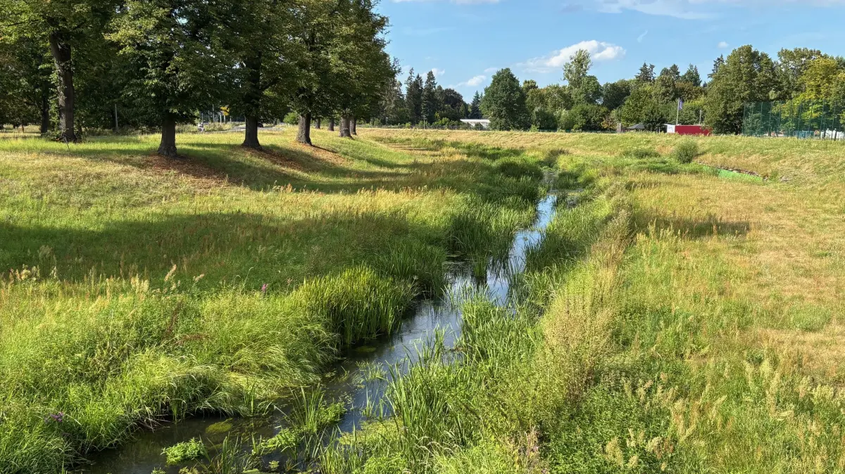 Im Stadtgebiet von Hoyerswerda führt die Schwarze Elster derzeit ausgesprochenes Niedrigwasser. Anderswo ist der Fluss bereits komplett trockengefallen.