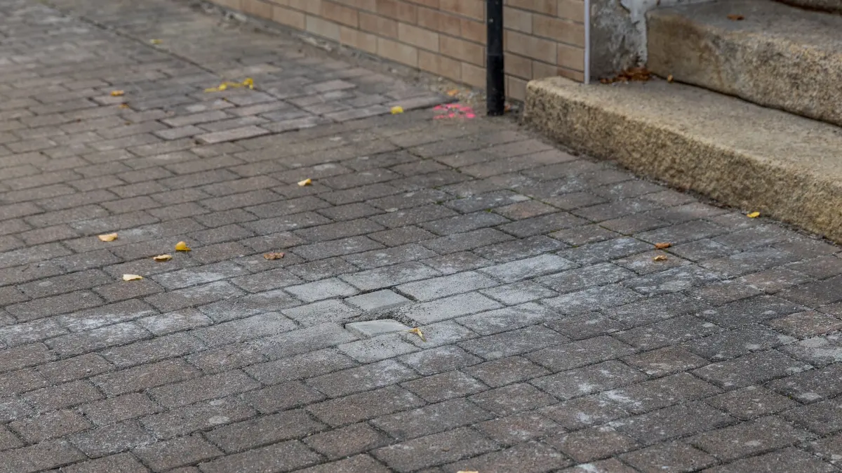 Unbekannte haben am Wochenende zwei Stolpersteine in der Pfortenstraße Spremberg herausgebrochen und mitgenommen. Das passiert jetzt an dieser Stelle.