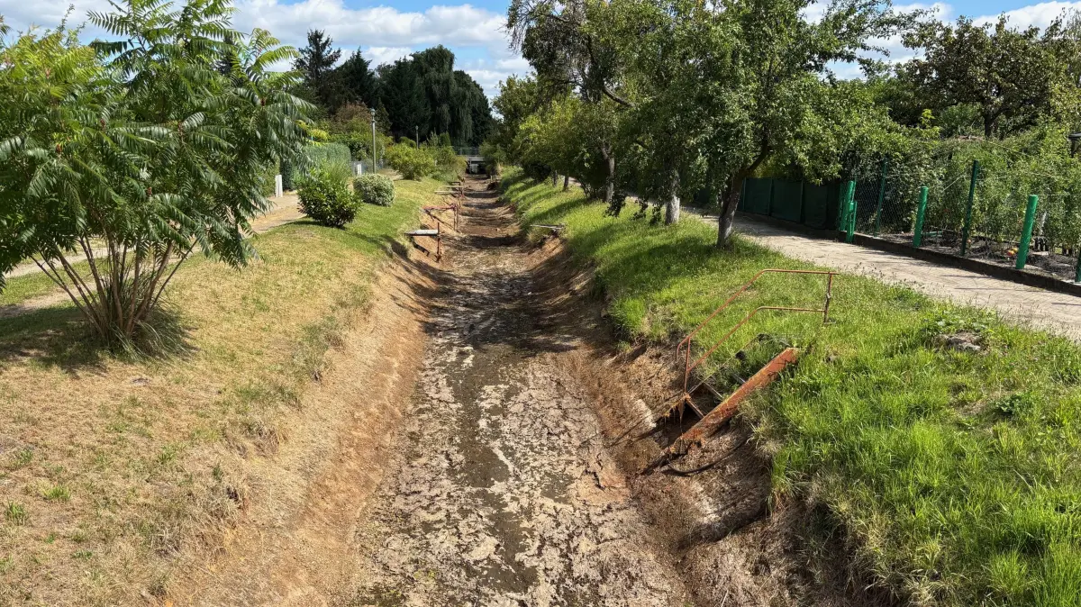 Kein Wasser befindet sich mehr in der Rainitza in Sedlitz, hier direkt neben der Kleingartenanlage Bergmannsfreund.