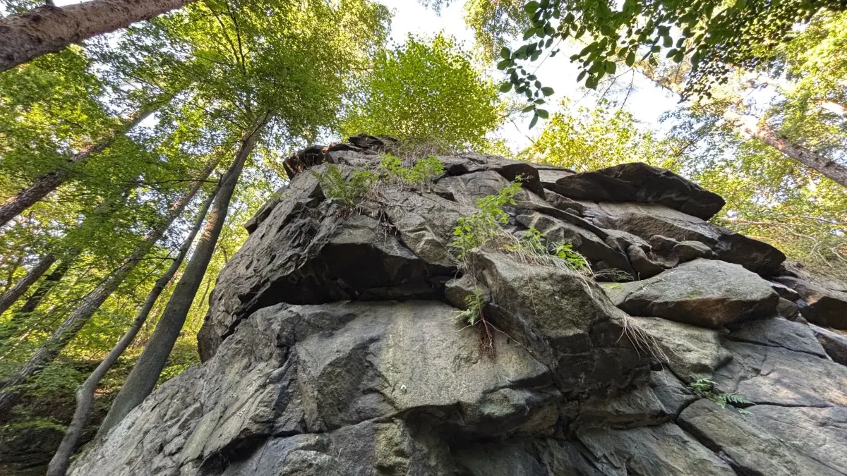 Impression aus dem Bautzener Humboldthain, der größten Parkanlage der Oberlausitzer Hauptstadt. An der Spree türmen sich steile Felsen auf. Manche können sogar erklettert werden.