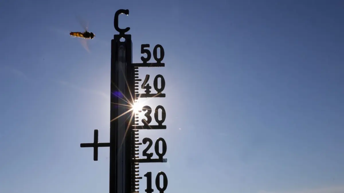 Hitze und Klimawandel: ARCHIV - 21.06.2026, Baden-Württemberg, Riedlingen: Die Sonne scheint hinter einem Thermometer, an dem eine Schwebefliege vorbeifliegt. (zu dpa: «Sommer 2026: «Historische Hitze, verbreitete Trockenheit»») Foto: Thomas Warnack/dpa +++ dpa-Bildfunk +++