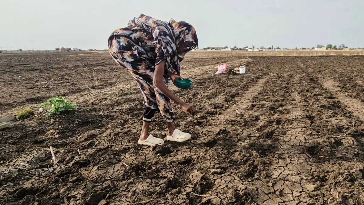 FILES-SUDAN-CLIMATE-ENVIRONMENT-EL NINO: (FILES) A Sudanese farmer plants seeds in an agricultural field in Gedaref State, eastern Sudan, on July 18, 2026. El Nino is set to become "very strong" in the months ahead, with the weather phenomenon near certain to persist through to February, the United Nations' climate agency warned on September 3, 2026. (Photo by AFP)