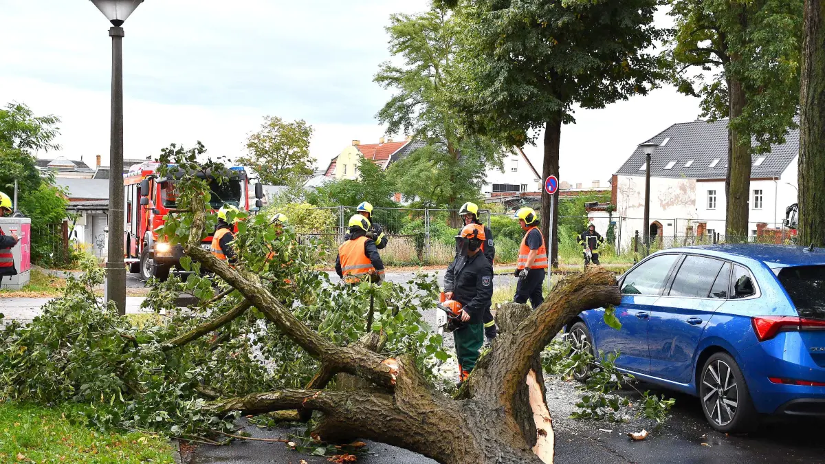 Unwetter in Spremberg: Feuerwehrleute kümmern sich um einen Baum, der auf die Straße gestürzt war.