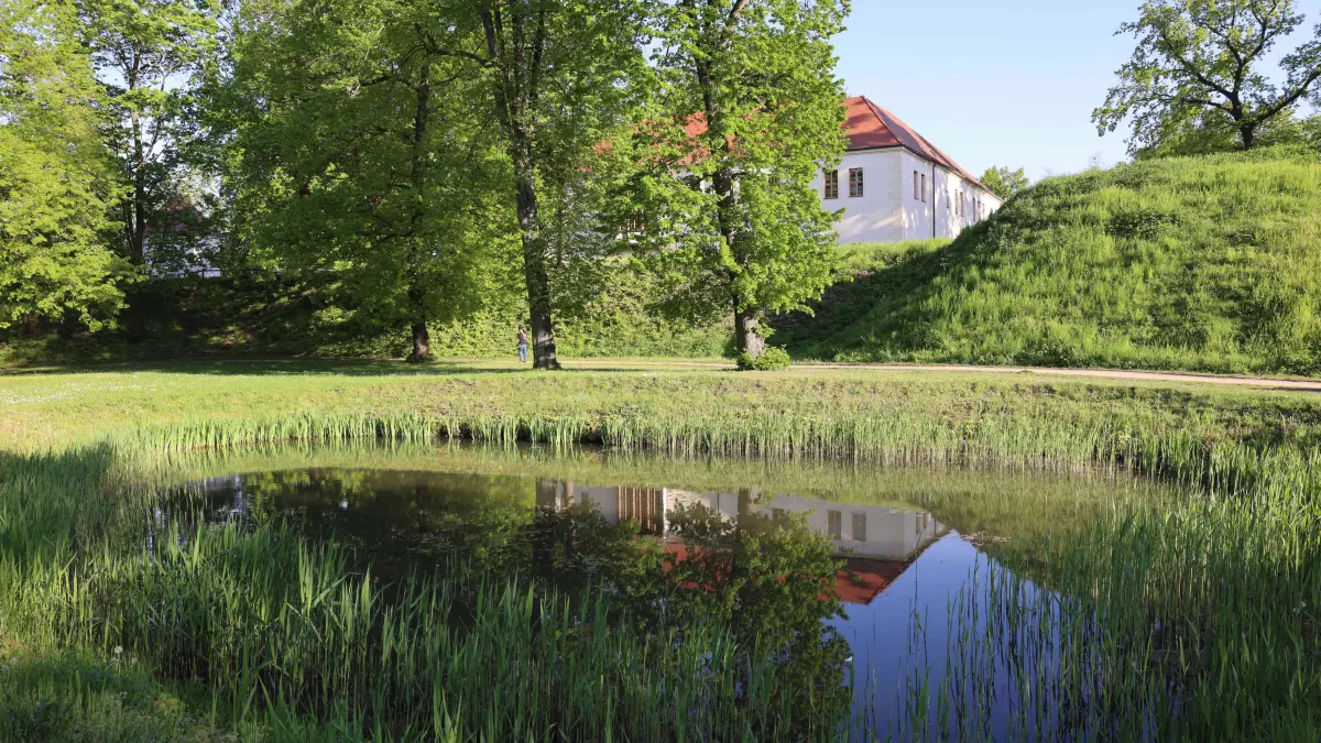 Im Senftenberger Schlosspark ist ein Mann (39) brutal ausgeraubt worden. Stadt und Polizei reagieren.