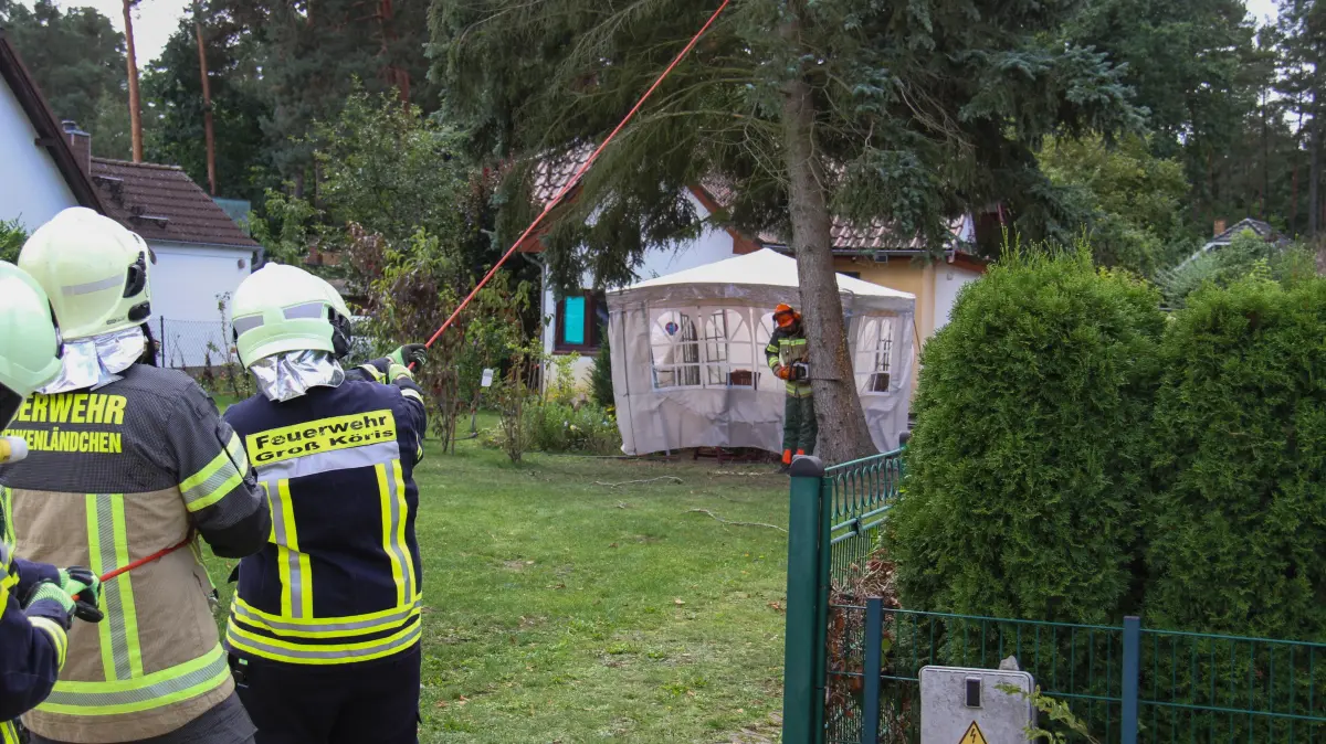 Schiefer Baum droht, auf ein Grundstück in Klein Köris umzustürzen. Die Feuerwehr beseitigt Gefahr.