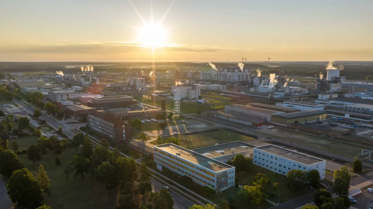 Hinter dem Industriepark Lausitz in Schwarzheide geht die Sonne auf – am BASF-Standort laufen weitreichende Umbauprojekte.