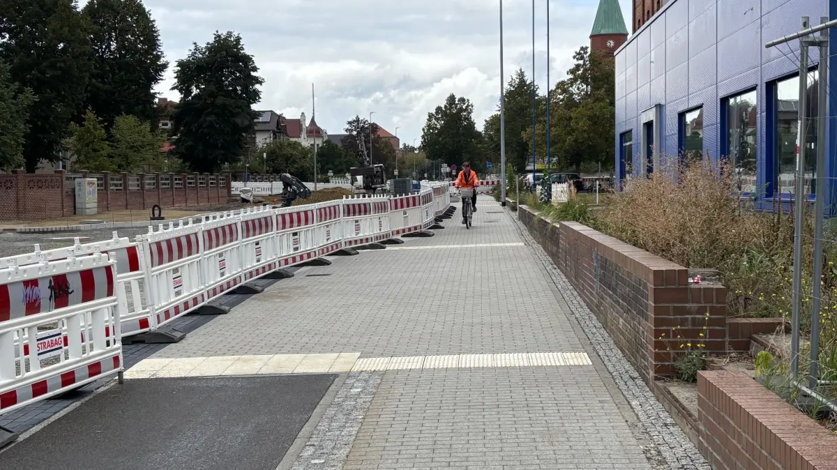 Plötzlich enden die getrennten Bereiche von Rad- und Fußweg. Wegen der dortigen Grünlage müssen sich beide Gruppen denselben Platz teilen. Ob das gut geht, fragt sich so mancher Senftenberger.