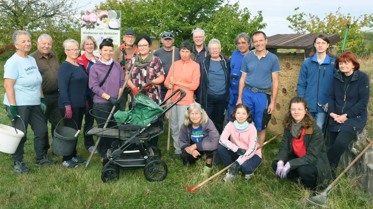 Letzter großer Arbeitseinsatz vor dem 31. Apfeltag im Pomologischen Schau- und Lehrgarten in Döllingen: Letzter großer Arbeitseinsatz vor dem 31. Apfeltag im Pomologischen Schau- und Lehrgarten in Döllingen
- Vor dem großen Finale und damit dem Höhepunkt der Obstbausaison im Naturpark Niederlausitzer Heidelandschaft haben sich vor dem 31. Apfeltag wieder viele ehrenamtliche Helfer eingefunden. Andrea Opitz (65) (rechts) ist am 1. September 2026 nach 28 Jahren aus dem Naturpark Niederlausitzer Heidelandschaft in den Ruhestand gewechselt