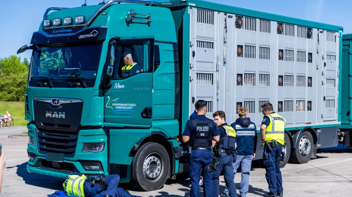 Rinderdiebstahl in Brandenburg: Zwei Verdächtige wurden in Polen festgenommen.