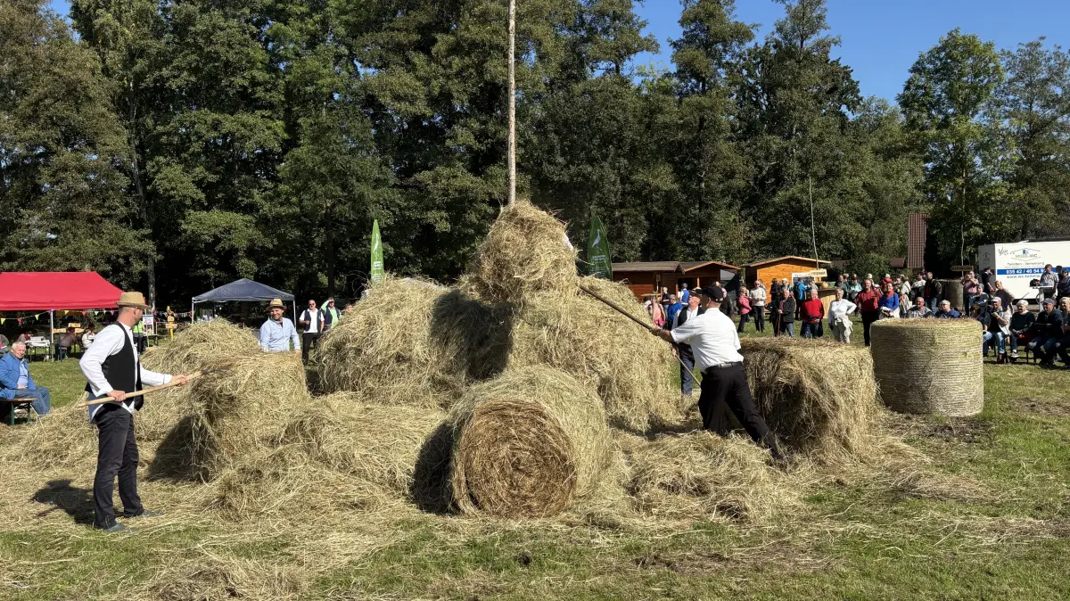 Lehde-Fest 2025 mit Heuschoberbau auf der Festwiese