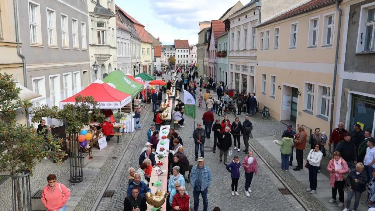 Luckau Hauptstraße zum Maxi-Herbst-Mix 2024