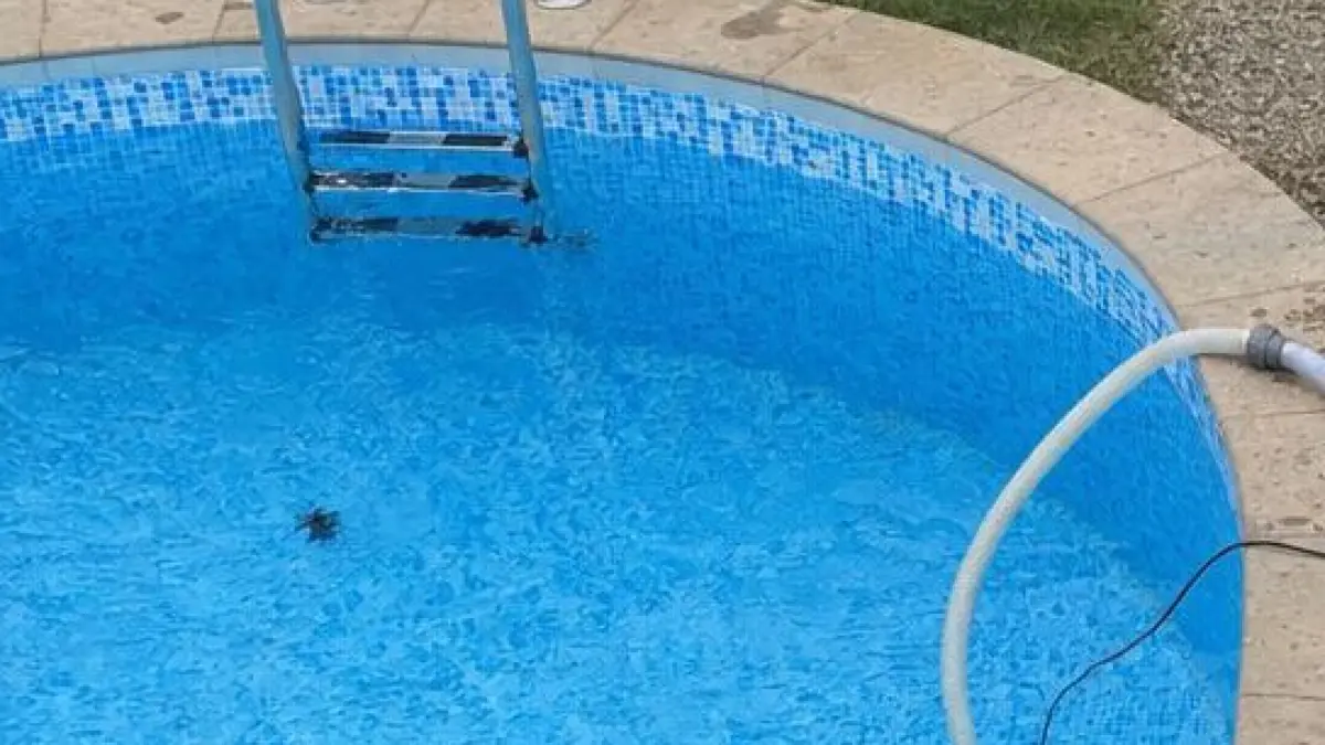 Für die Entsorgung des Pool-Wassers gibt es klare gesetzliche Vorschriften.