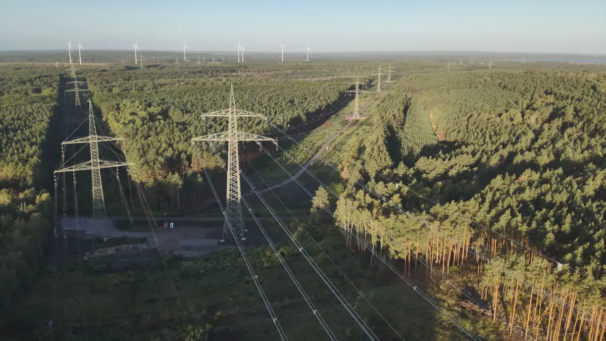 Impression der neuen Stromtrasse unweit von Altdöbern und Casel. Ein fünf Kilometer langer Abschnitt musste jetzt neu gebaut werden.