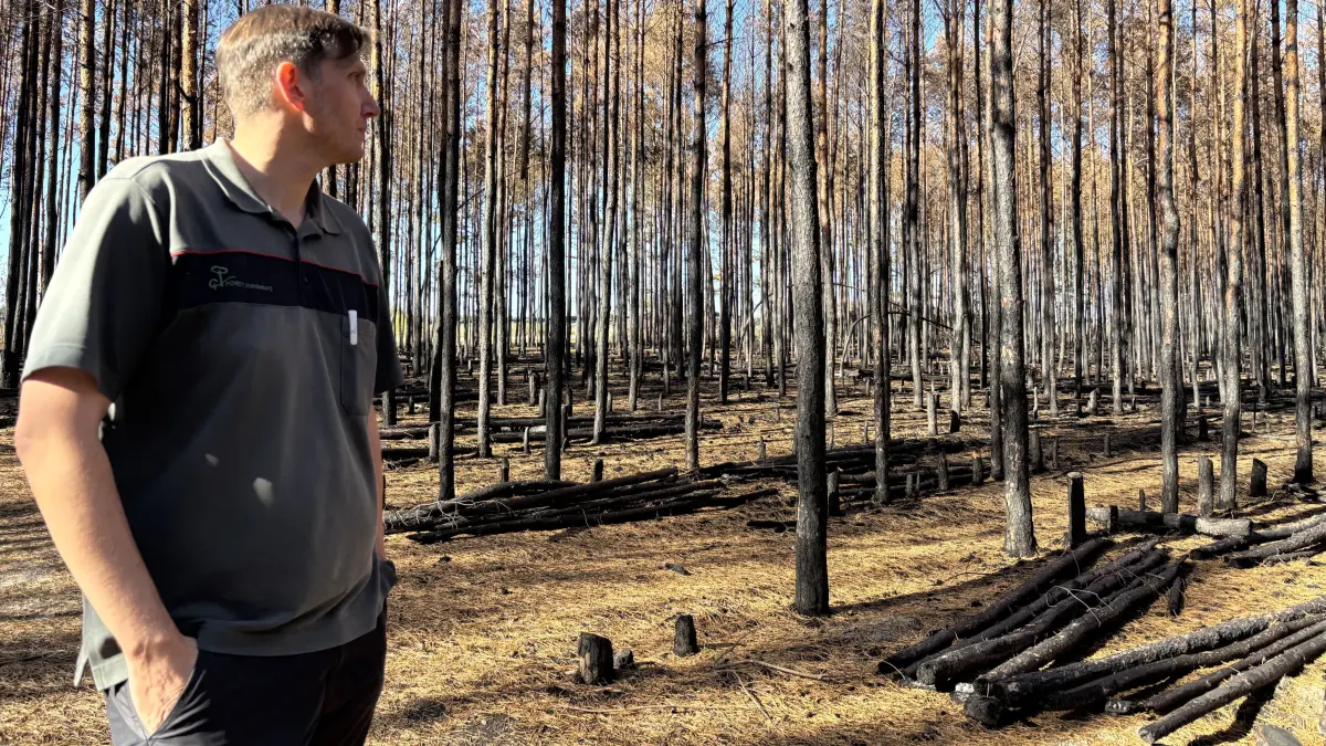 Revierförster Frank Müller in seinem Wald nahe des Dorfes Klettwitz.