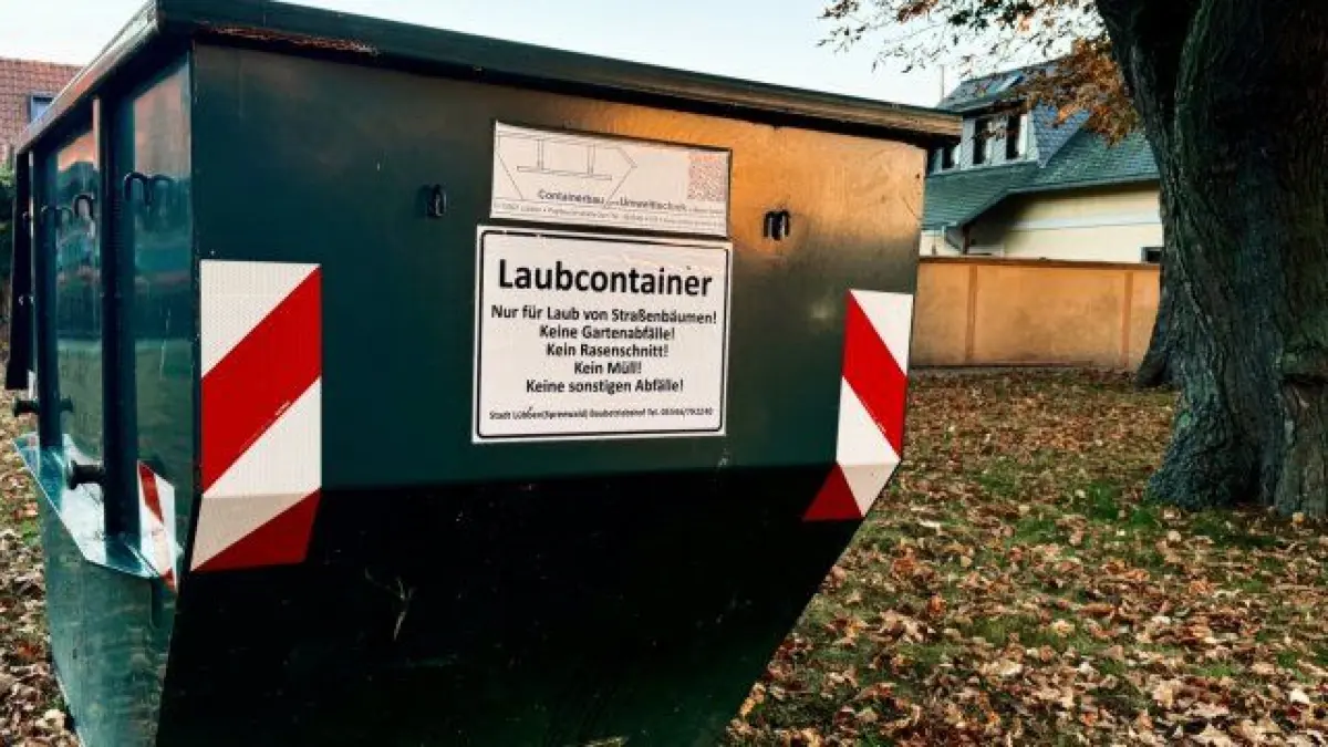 Laubcontainer der Stadt Lübben zur Entsorgung von Laub, das auf öffentlichen Bürgerteigen liegt.