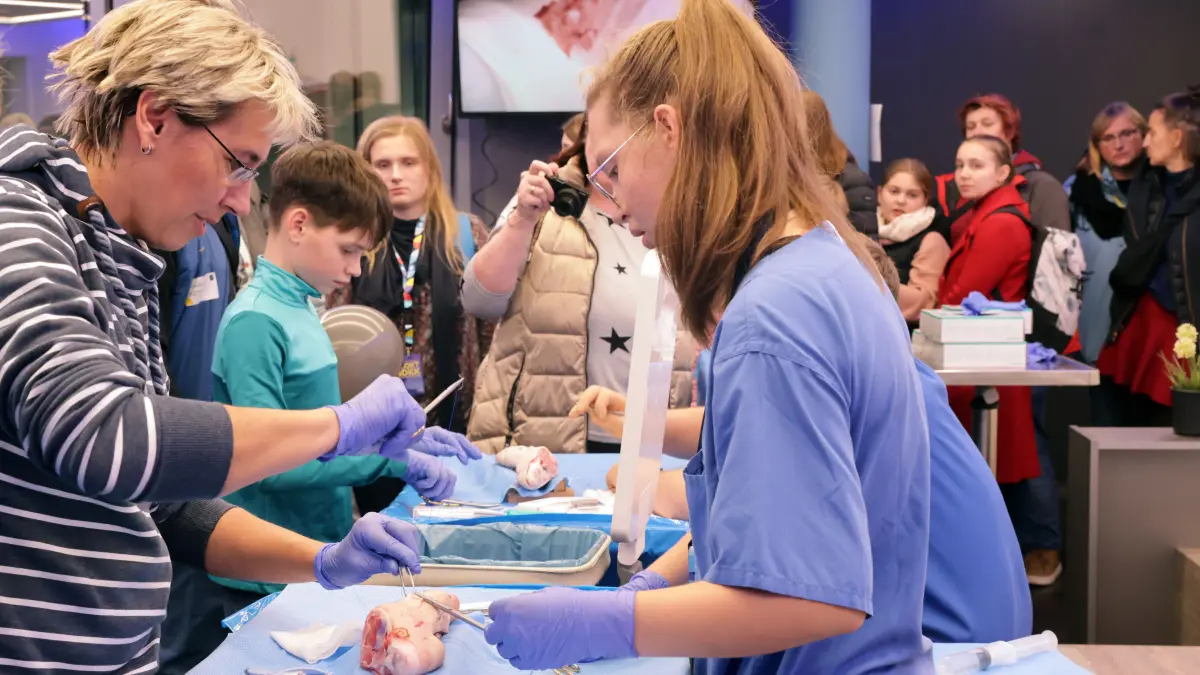 „Tupfer, bitte!“: Unter Anleitung des OP-Teams dürfen Besucherinnen und Besucher chirurgische Nahttechniken an Trainingsherzen ausprobieren. Gefragt sind Fingerspitzengefühl, Konzentration und eine ruhige Hand.