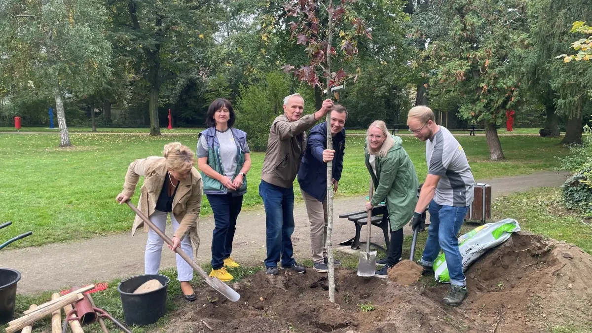 Im Stadtpark Elsterwerda ist beim "Einheitsbuddeln" zum Tag der deutschen Einheit ein Amberbaum gepflanzt worden. Doch die viel größere Investition kommt erst noch.