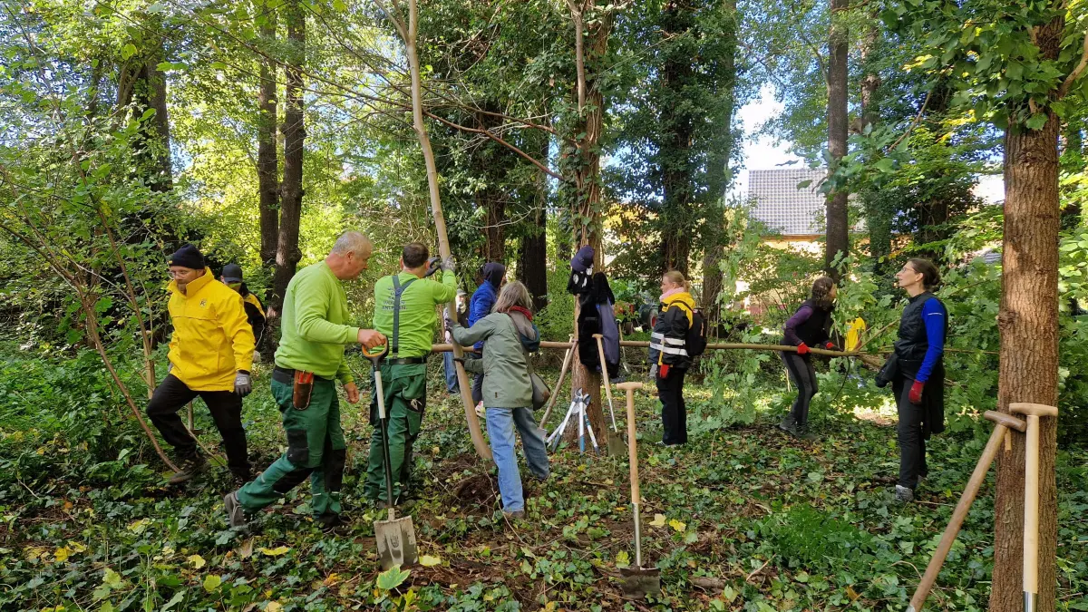 Parkseminar im Pückler-Park Branitz