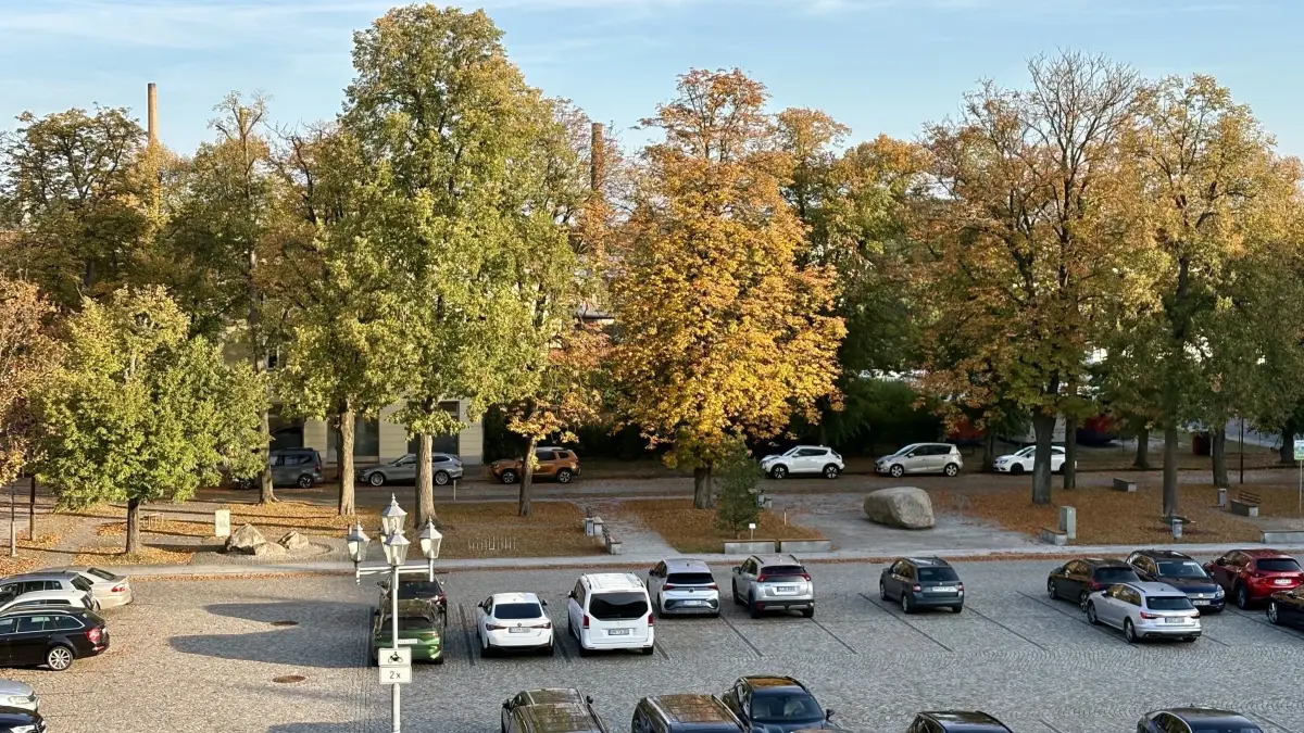 Blick auf die Bäume am Marktplatz in Weißwasser. Das Großgrün braucht regelmäßig nicht nur eine Kontrolle, sondern auch Pflegemaßnahmen.
