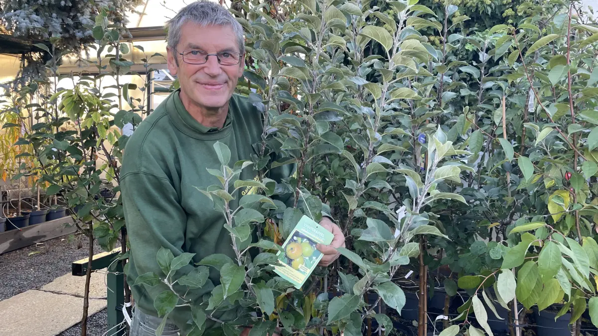 Rüdiger Winde zeigt den Winterapfel Goldparmäne, eine alte Apfelsorte, die jetzt angebaut werden kann. Der Gartenfachmann gibt weitere Tipps und verrät, was er von Umgraben hält.