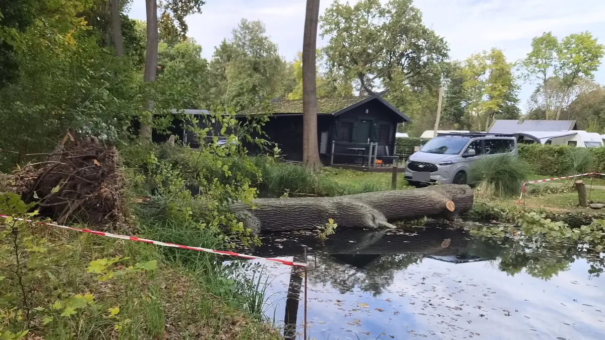 Im Schlosspark in Lübbenau ist ein großer Baum am Fließufer auf den benachbarten Campingplatz. Die 15 Meter lange Eiche krachte auf einen Wohnwagen.