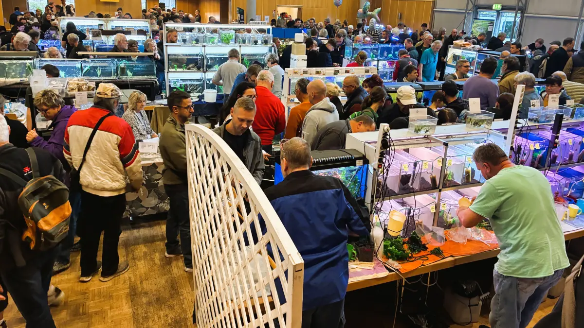 Ein volles Haus des Gastes in Falkenberg an zwei Ausstellungstagen im Haus des Gastes. Weshalb Aussteller und besucher Falkenberg so schätzen.