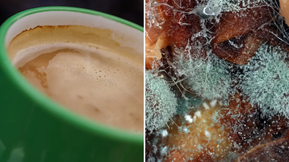 Schimmelsporen im Frühstückskaffee.