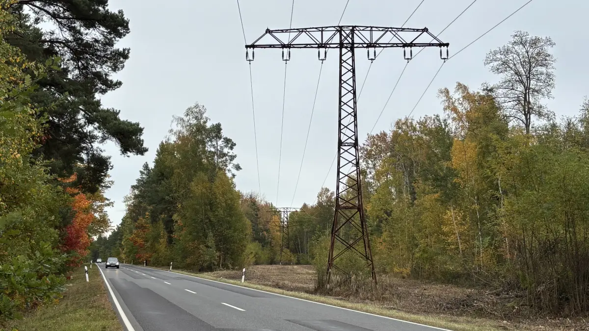 Die Fläche unter dieser Stromtrasse bei Meuro ist jüngst freigeschnitten worden. An dieser Stelle quert sie die Landesstraße L55 zwischen Dekra-Lausitzring und Freienhufen.